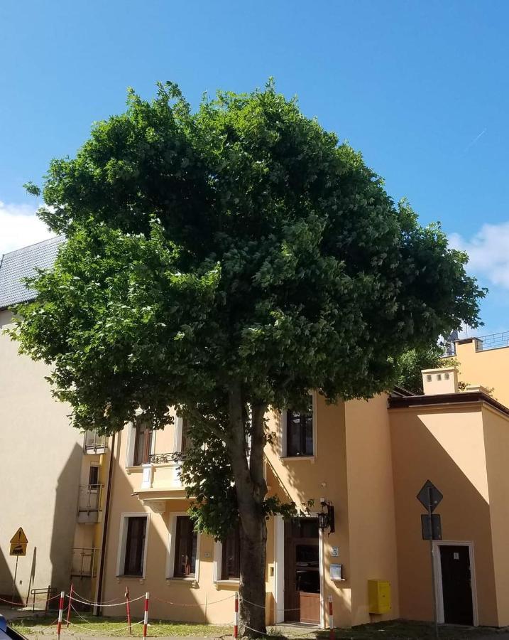 Apartamenty Na Cichej 5 A2 كولوبرزيغ المظهر الخارجي الصورة